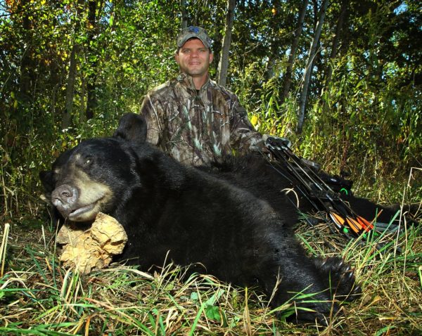 Bear Baiting Strategies: The Importance of Consistency - Bear