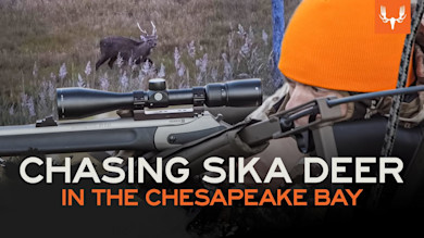 Ghosts of The Chesapeake Part 2