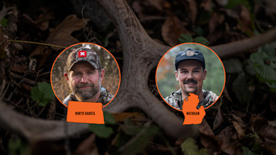 Best Whitetail State: North Dakota vs. Michigan 