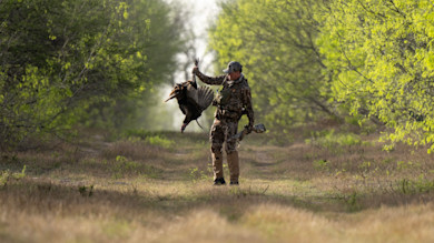 Why You’re Not Killing More Turkeys