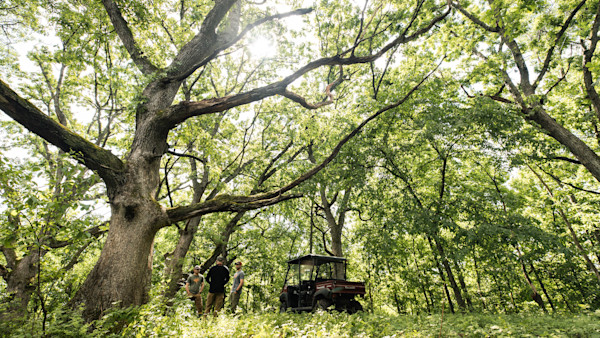 Whitetail Habitat Boot Camp with Jeff Sturgis Part II