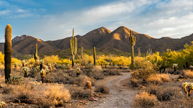 14 Indicted for Poaching Dozens of Big Game Animals in Arizona