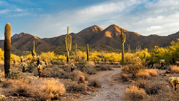 14 Indicted for Poaching Dozens of Big Game Animals in Arizona