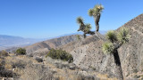 First-Time Hunter Finds Corpse in California Desert