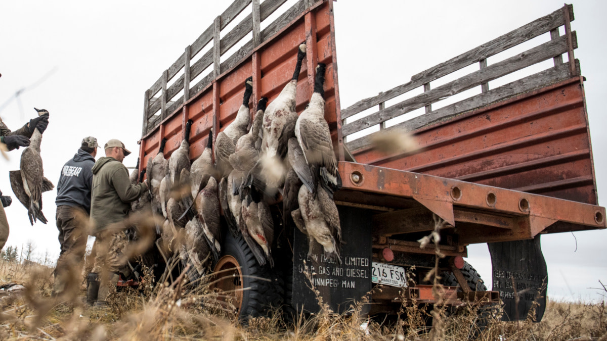 How to Get Waterfowl Hunting Permission
