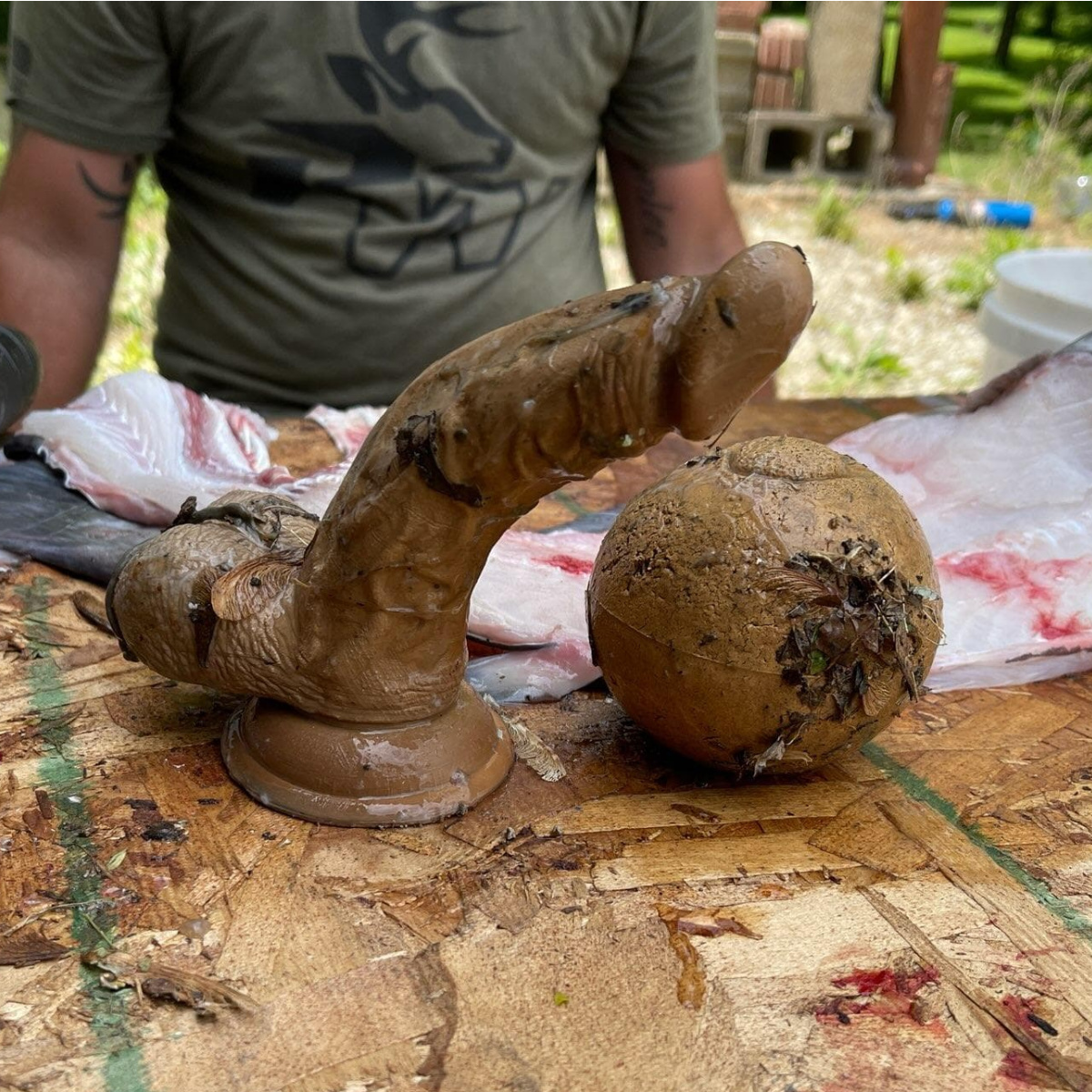 Photos Fisherman Finds Sex Toy in Catfish s Stomach MeatEater