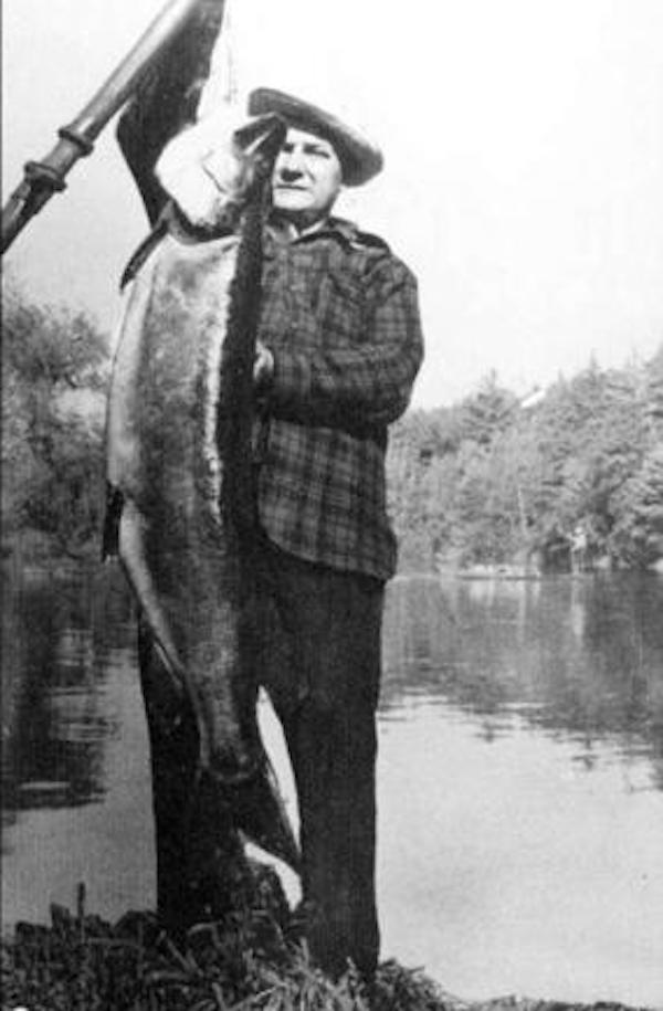 Holy muskie! King of Prussia fisherman makes surprise catch on Schuylkill