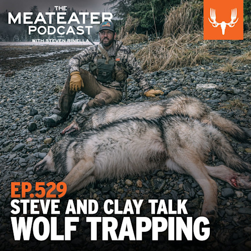 Man seated on rocky shore beside two dead wolves; text "EP.529 STEVE AND CLAY TALK WOLF TRAPPING"