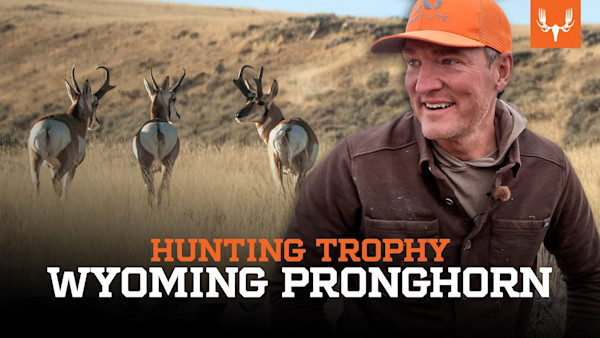 Hunting Pronghorn Antelope