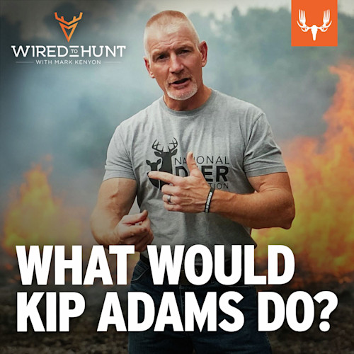 Ep. 942: What Would Kip Adams Do?