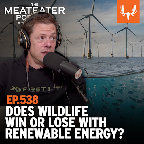 EP.538 DOES WILDLIFE WIN OR LOSE WITH RENEWABLE ENERGY? Man wearing headphones speaking into microphone