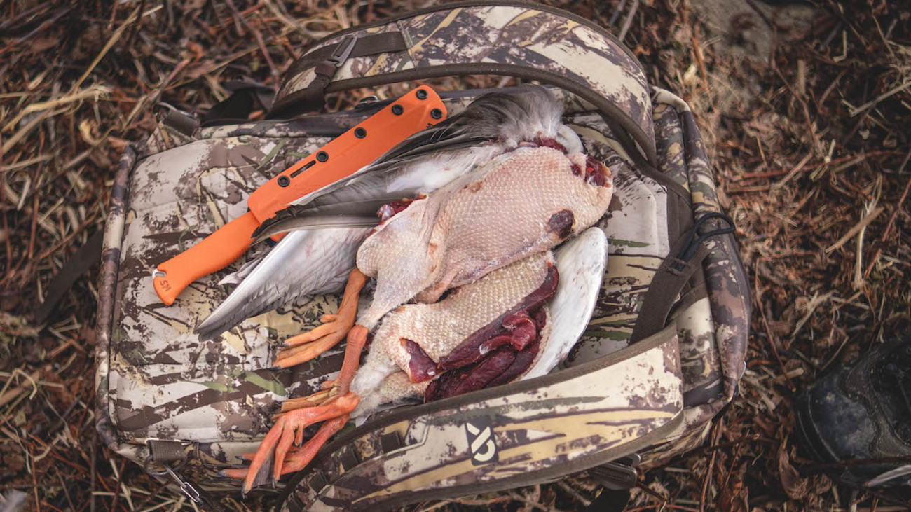 USDA Ban on Canadian Waterfowl is Catch-22 for Hunters