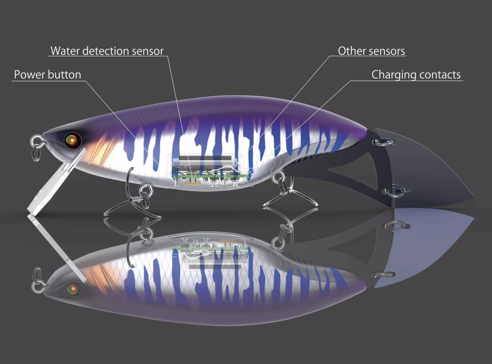 internal structure of model zero