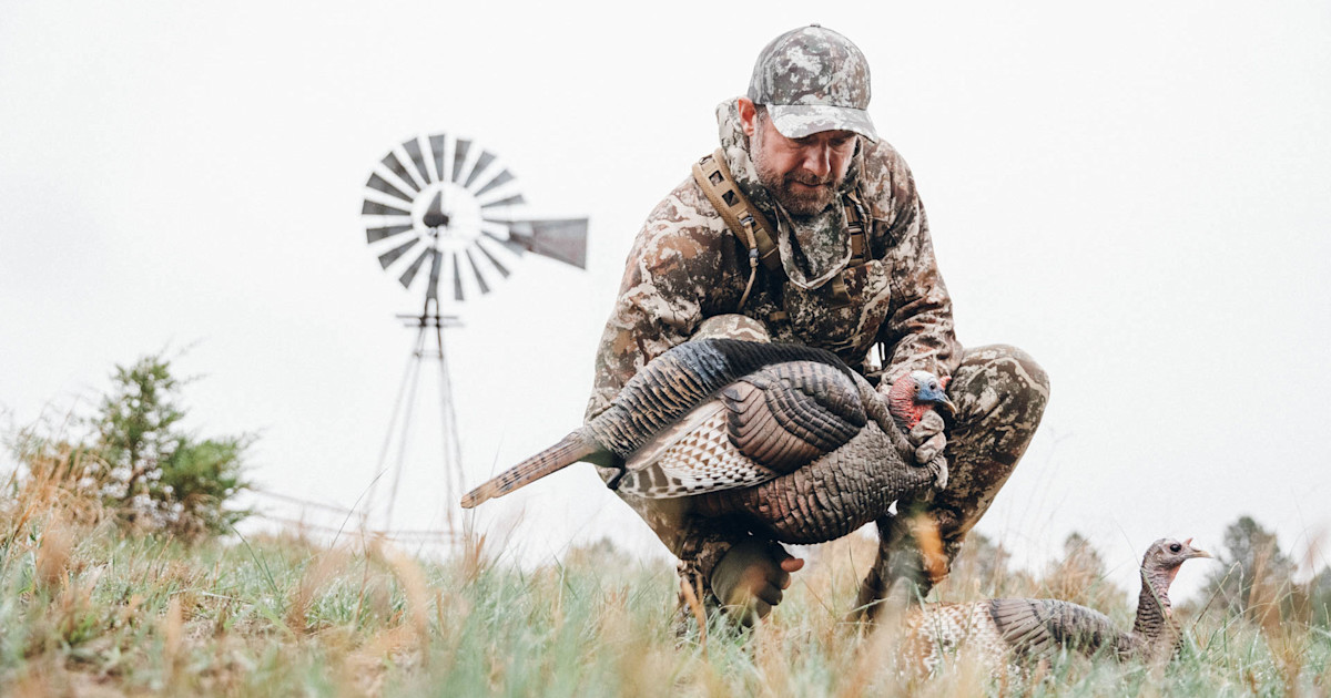 5 Ways to Sabotage Your Turkey Decoy Setup 5 Ways to Sabotage Your Turkey Decoy Setup