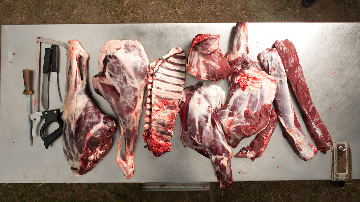 Are There Still Companies Who Sell Dog Meat? Shocking Truths Revealed