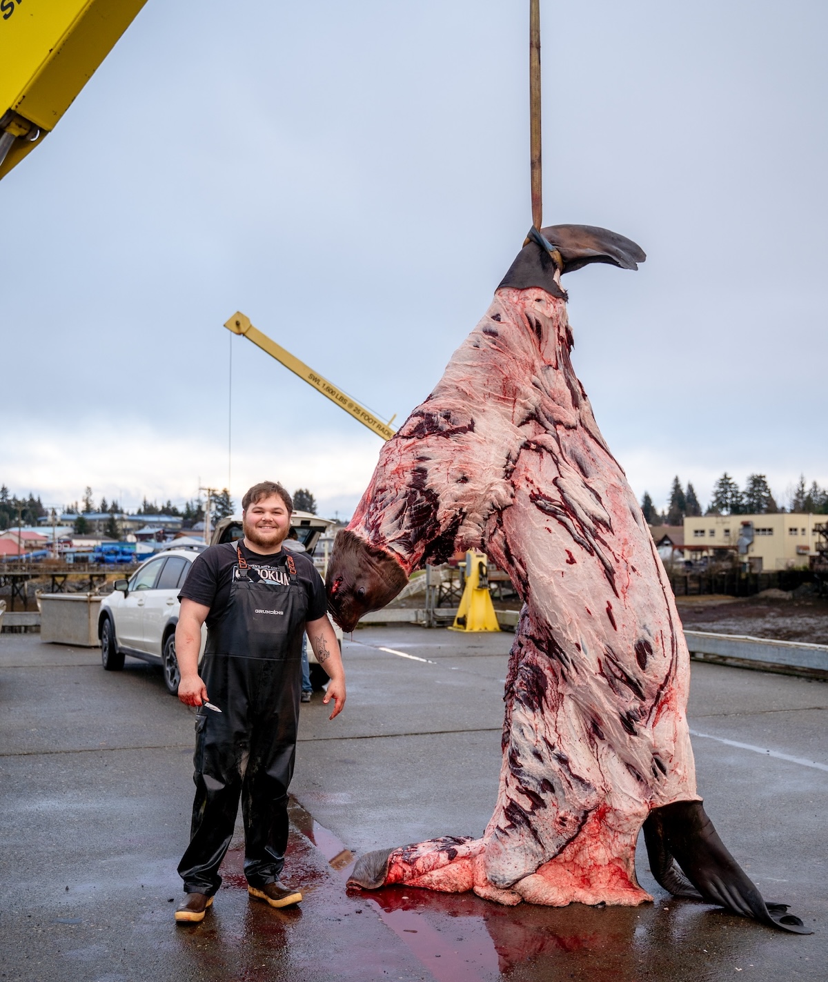 sea lion hunters