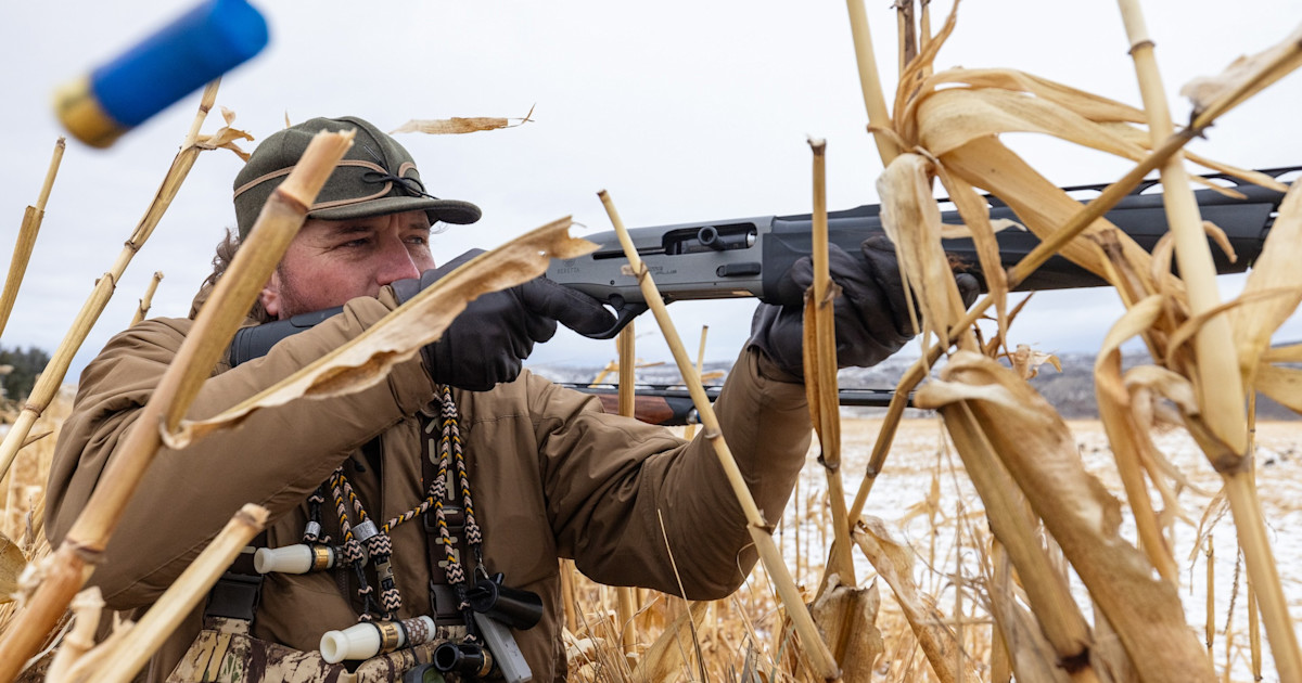 Steel Shot is Still the Non-Toxic King Steel Shot is Still the Non-Toxic King