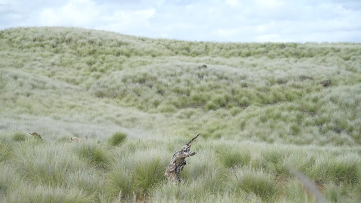 Hawaii Feral Goats and Wahoo