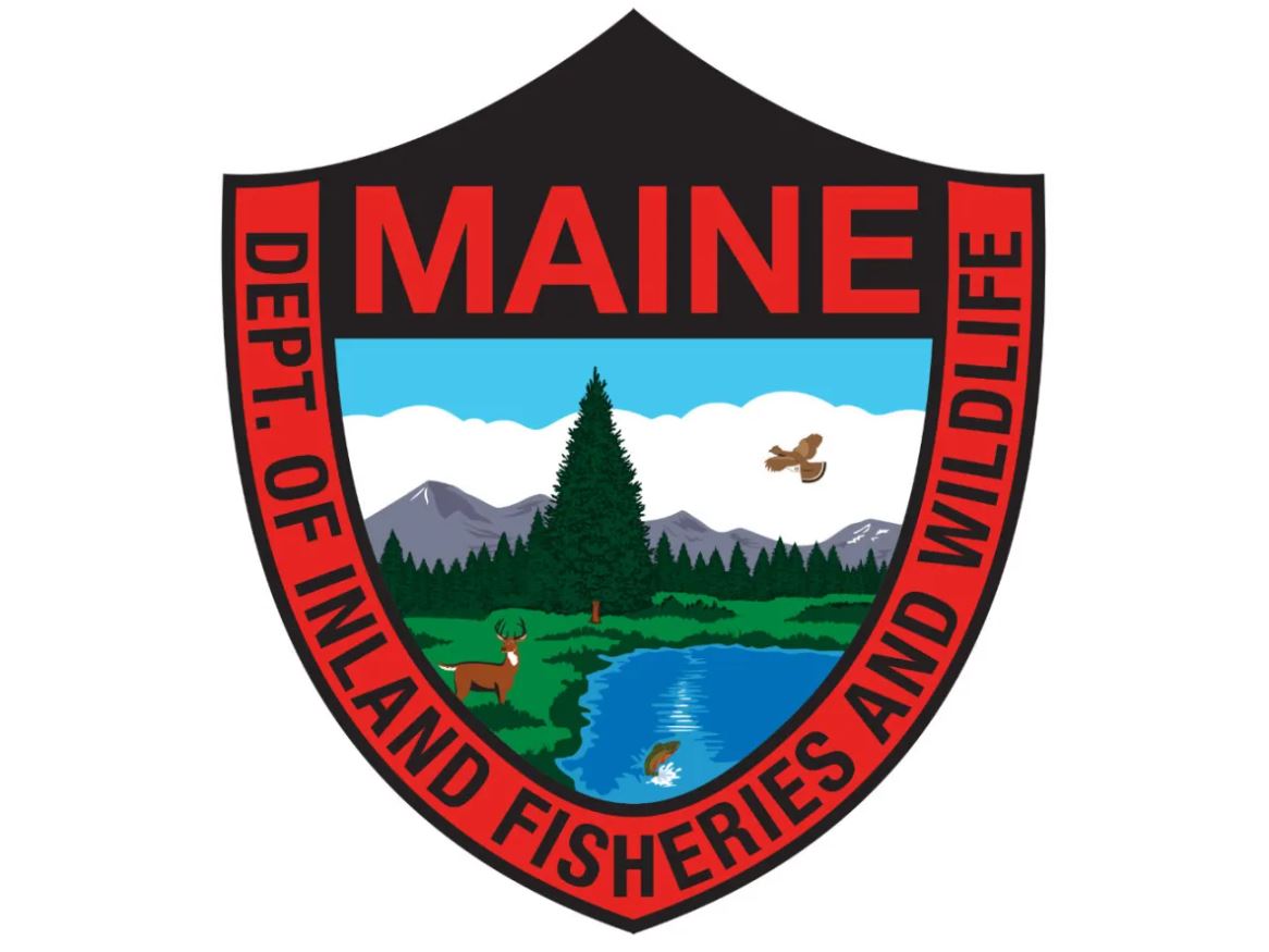 Maine shield logo with deer, tree and lake; includes text 'MAINE' and 'DEPT. OF INLAND FISHERIES AND WILDLIFE'