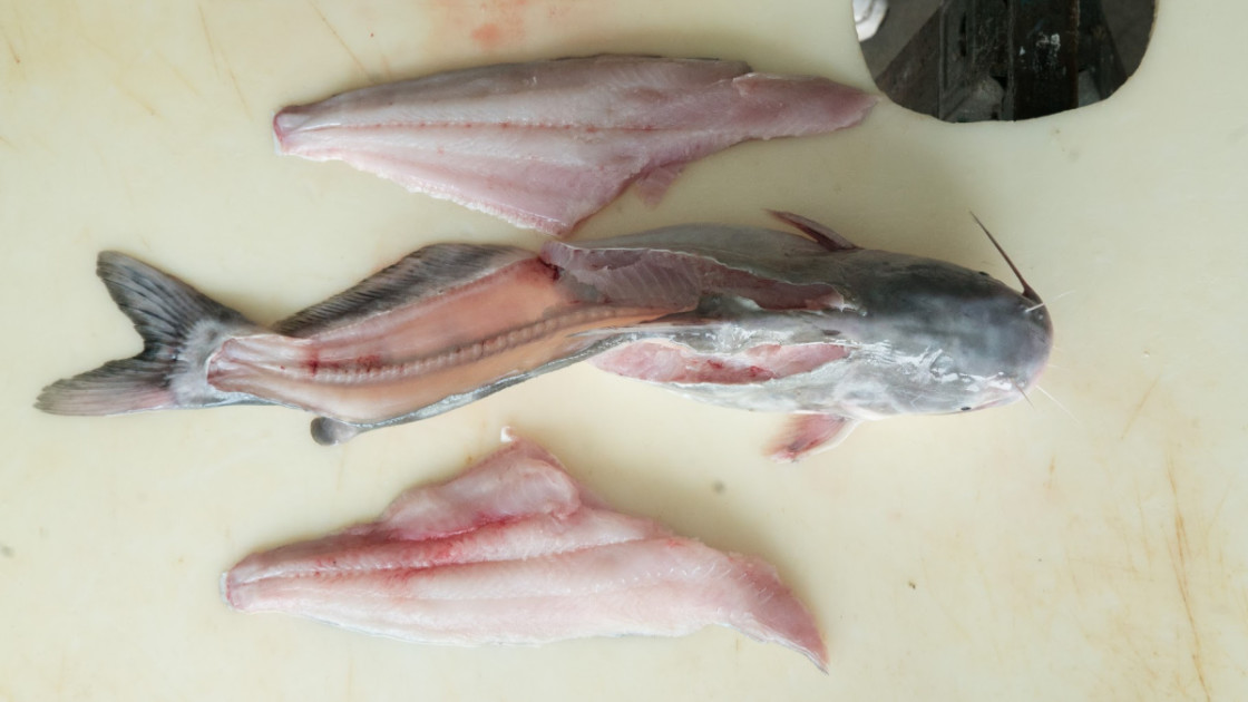 How to fillet & clean Salmon, Bass, Catfish,Trout Video – No Bones About It