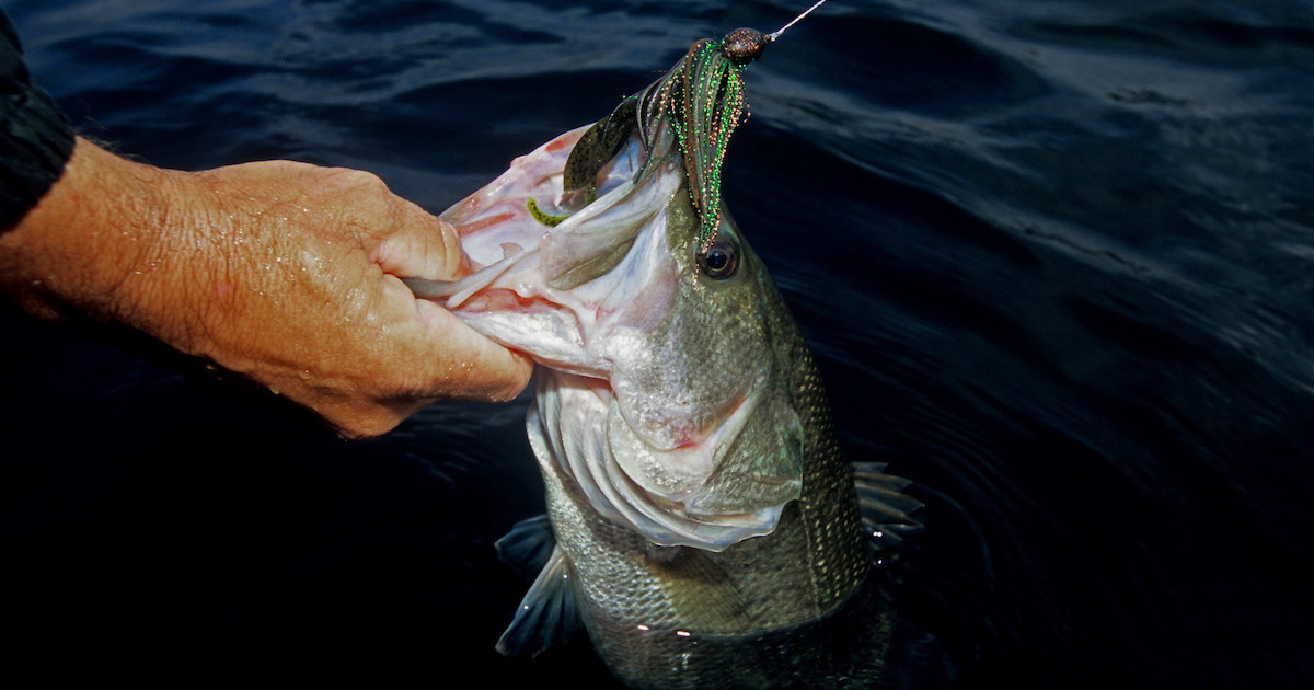 Make Your Own Damn Lures | MeatEater Fishing Make Your Own Damn Lures | MeatEater Fishing