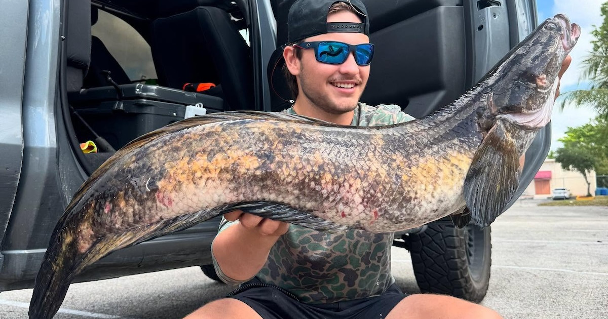 Florida Angler Catches Massive World Record Snakehead