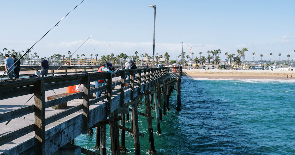 California Temporarily Closes Shark Fishing to Protect Swimmers California Temporarily Closes Shark Fishing to Protect Swimmers