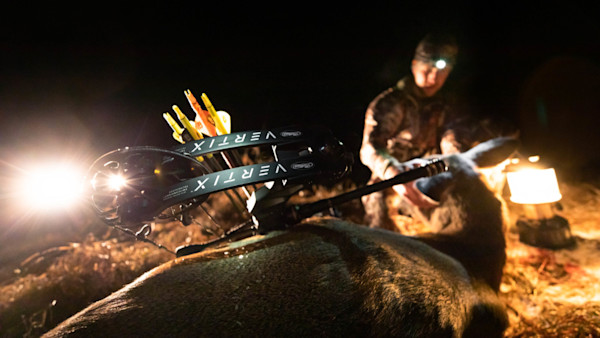 Archery 101: How to Choose a Bow