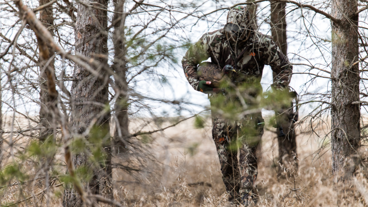 Turkey Hunting: Setups, Calling and Shooting