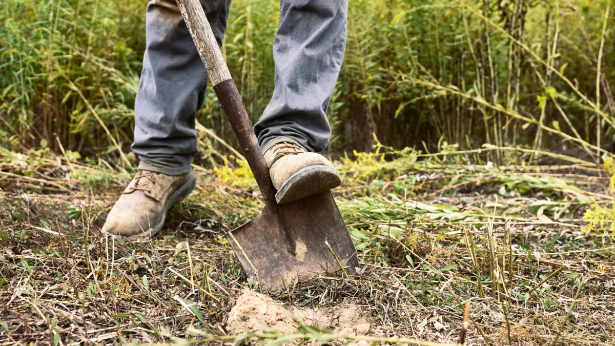 The Easiest Way to Improve Any Deer Property