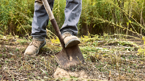 The Easiest Way to Improve Any Deer Property