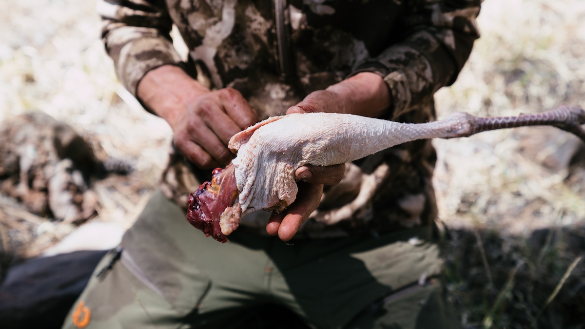 Description of image