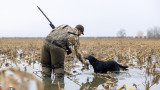 4 Proven Late-Season Duck Hunting Tactics 