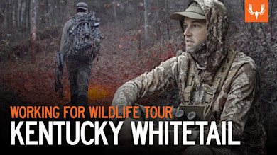 Working for Wildlife Tour | Kentucky Whitetail