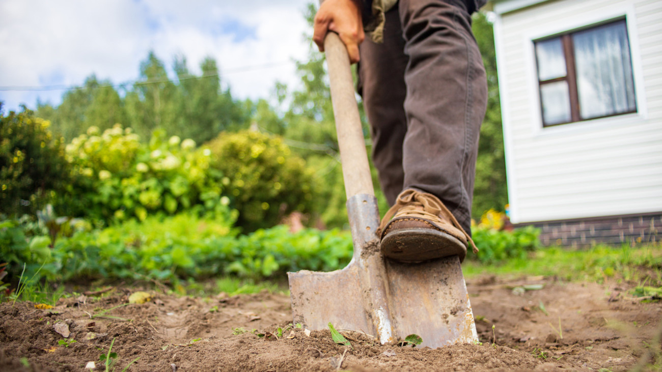 How to Prepare Your Garden Beds for Spring