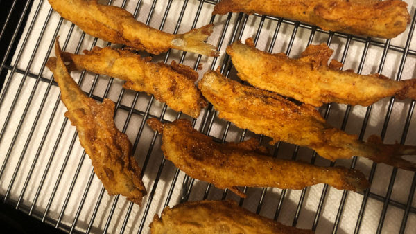 Fried smelt from the Kennebec River in Maine