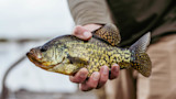 06142022_Duck_Camp_Dinners_SWLA-274-2.jpg