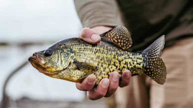 06142022_Duck_Camp_Dinners_SWLA-274-2.jpg