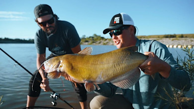 Channel Catfish on Lake Winnipeg