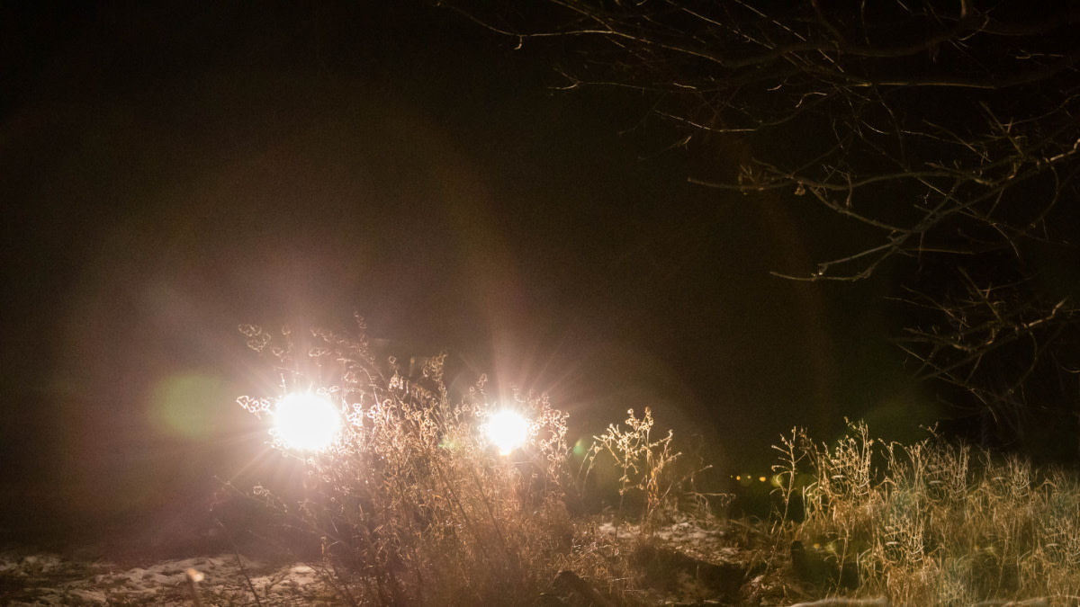 How Legal Spotlighting Can Help You Kill More Deer