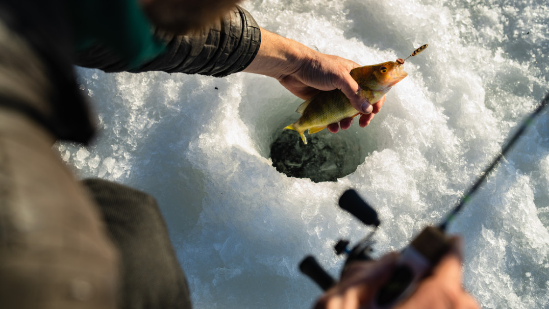 Three Kinds of Ice Fishing Jigs