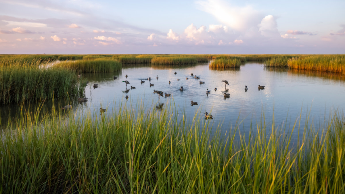 Biden Admin. Might Consider Closing Some Public Lands to Hunting and Fishing