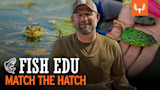 Match The Hatch
