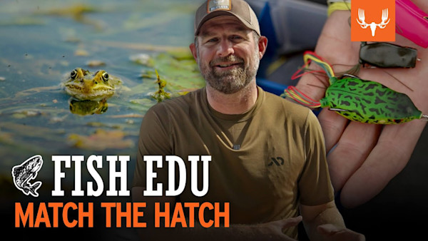 Match The Hatch