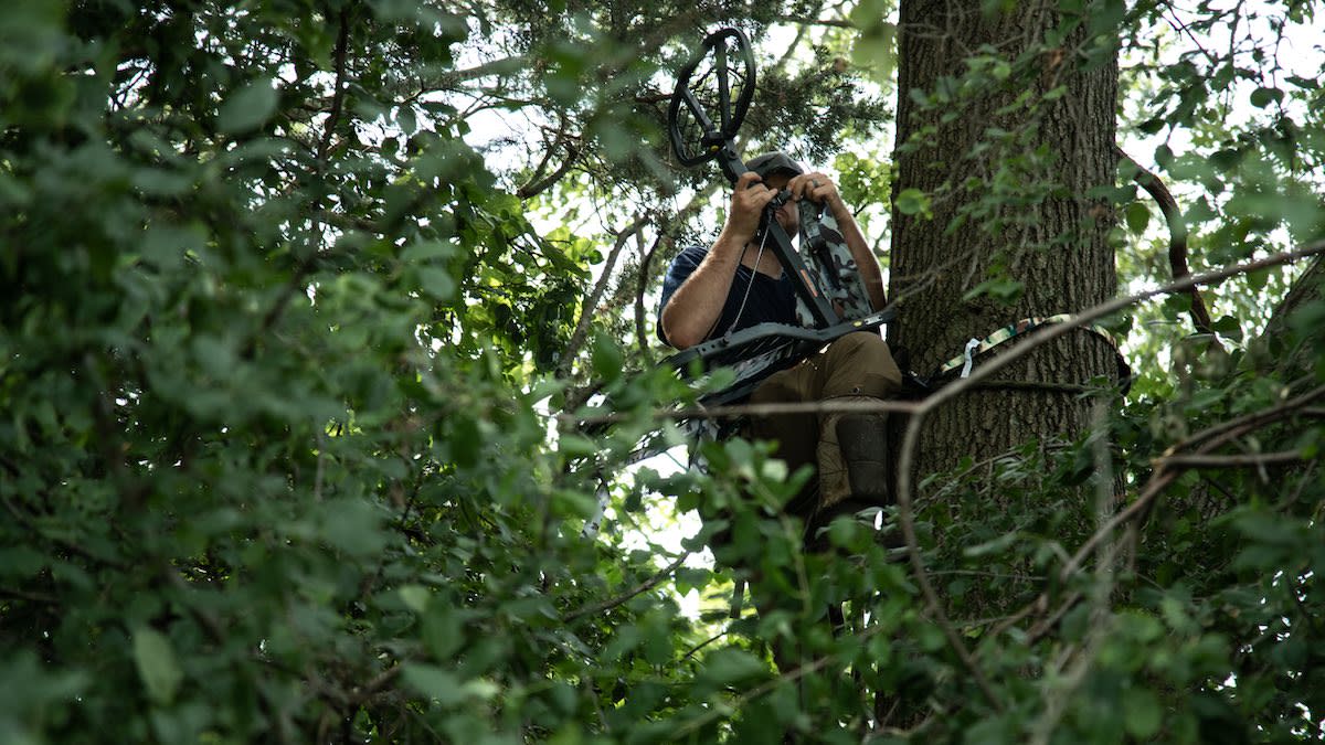 Ask MeatEater: How High Do You Hang Tree Stands?