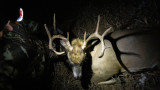 The Truth About Whitetail Hunting Experts