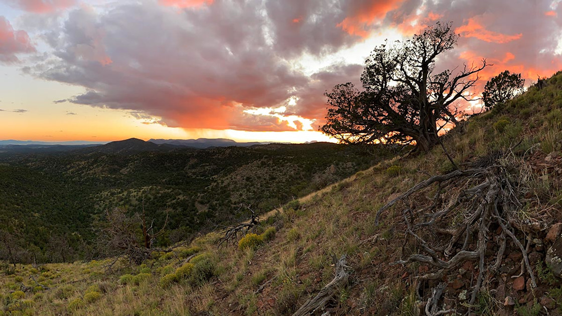 Love and Loss Cal’s New Mexico Elk Hunt MeatEater Hunting