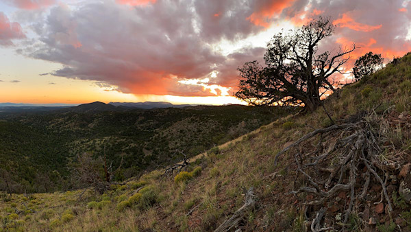 Love and Loss: Cal’s New Mexico Elk Hunt