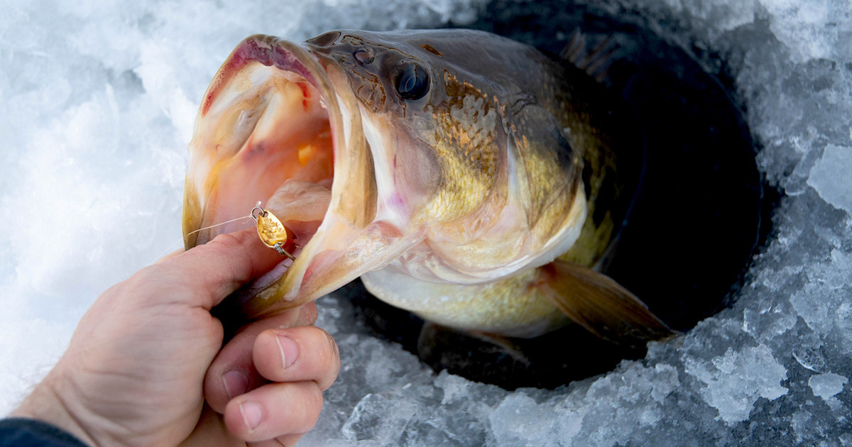 bass ice fishing lures THKFISH Lure Set Gear Tackle Supplies For Sale Steely Spoon Fishing Lures, Multipack