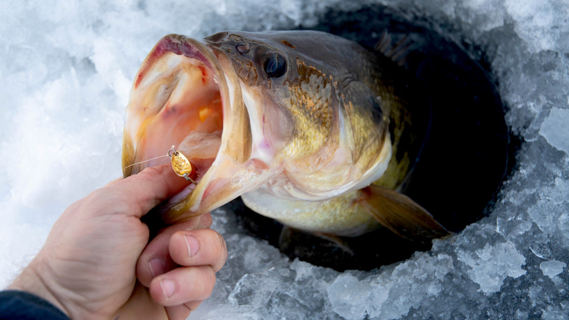 How To Catch More Cold-Water Bass With Jigs